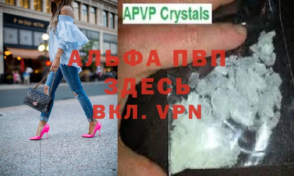 стафф Алзамай