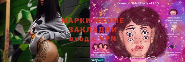 стафф Алзамай