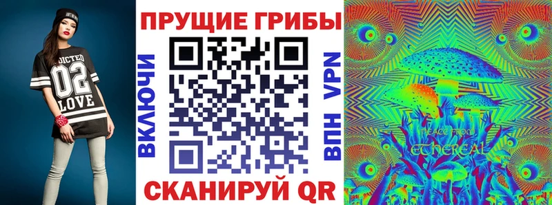 Галлюциногенные грибы Psilocybine cubensis  Североуральск 
